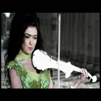 Vanessa Collection (Single)