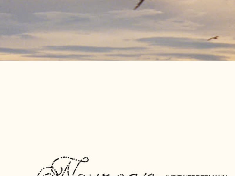 Neurean / La Meva Llengua (Single)