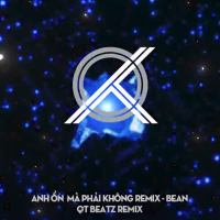 Anh Ổn Mà Phải Không (QT Beatz Remix) (Single)