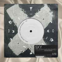 SXY (Single)