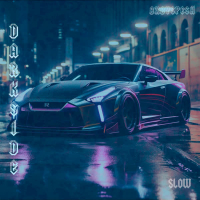 DARKSIDE SLOW (Single)