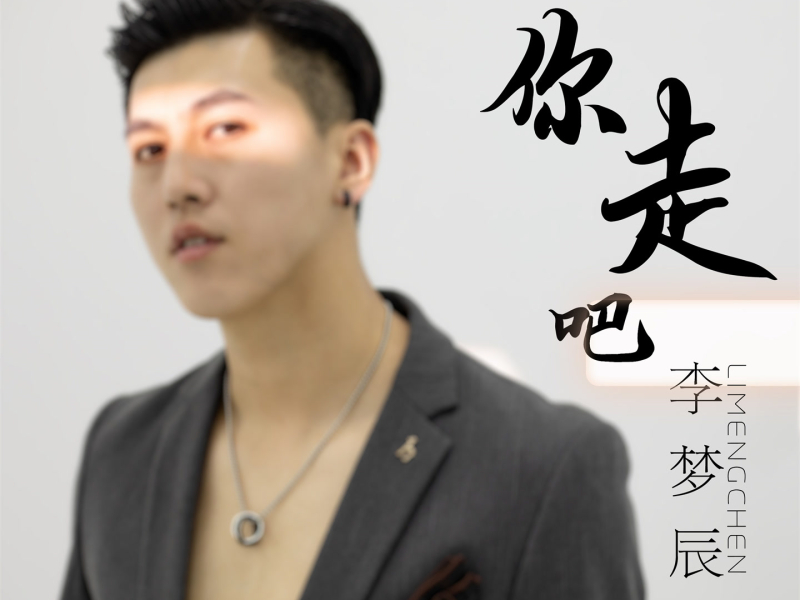 你走吧 (DJ余小磊版) (Single)