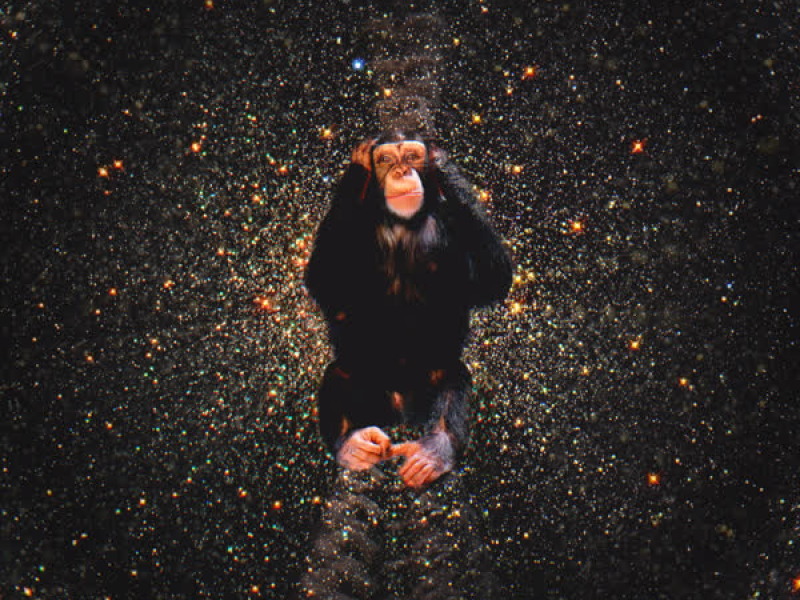 I Don't Wanna Hear That (Single)