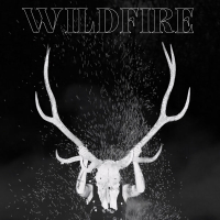 Wildfire (Single)