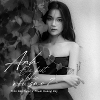 Anh Đã Biết Khóc Rồi Sao? (Single)