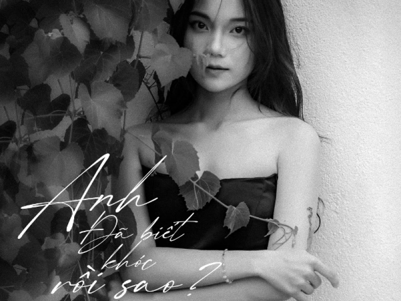 Anh Đã Biết Khóc Rồi Sao? (Single)