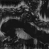 SEQUÊNCIA RISADA MALIGNA 2 SLOWED (Single)