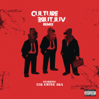 Culture Vulture (Remix) (Single)