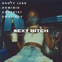 Sexy Bitch (Single)