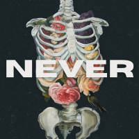 never (Single)