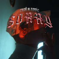 Sorry (Single)
