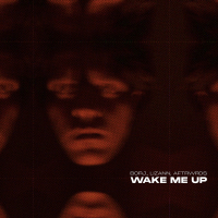 Wake Me Up (Single)