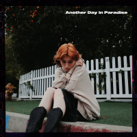 Another Day In Paradise (Single)