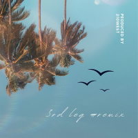 3rd Leg (Remix) (Single)