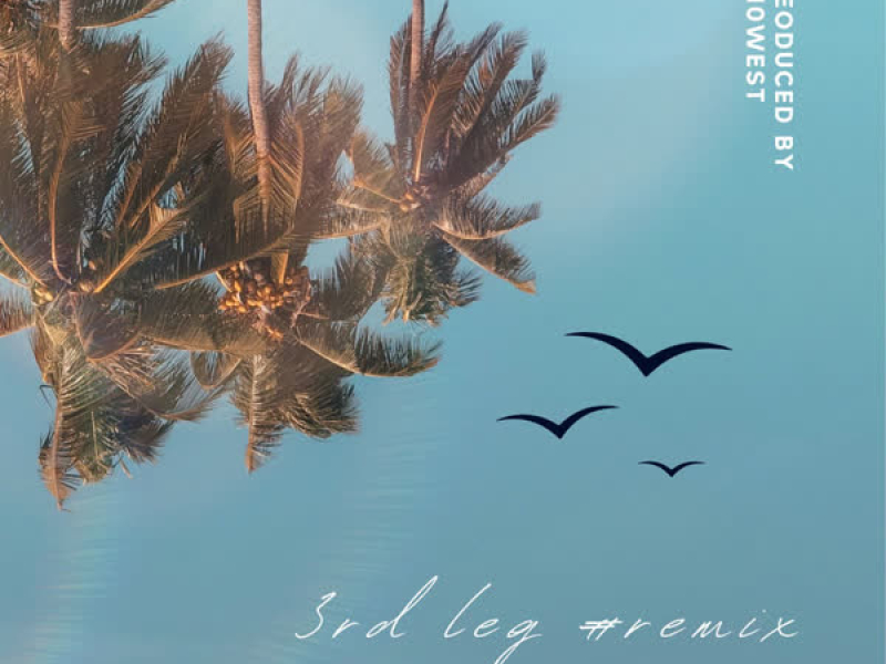 3rd Leg (Remix) (Single)