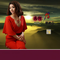 为何要伤我的心 (Single)