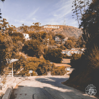 Hollywood Hills (Single)