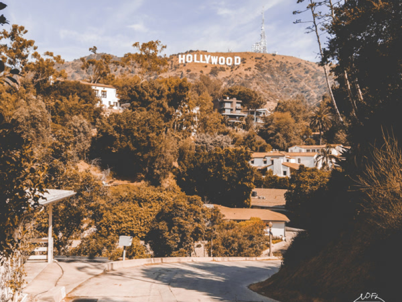 Hollywood Hills (Single)