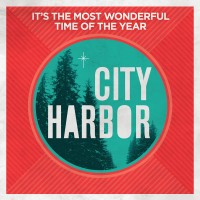 It's The Most Wonderful Time Of The Year (Single)