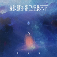 我眼眶的泪已经装不下 (Single)