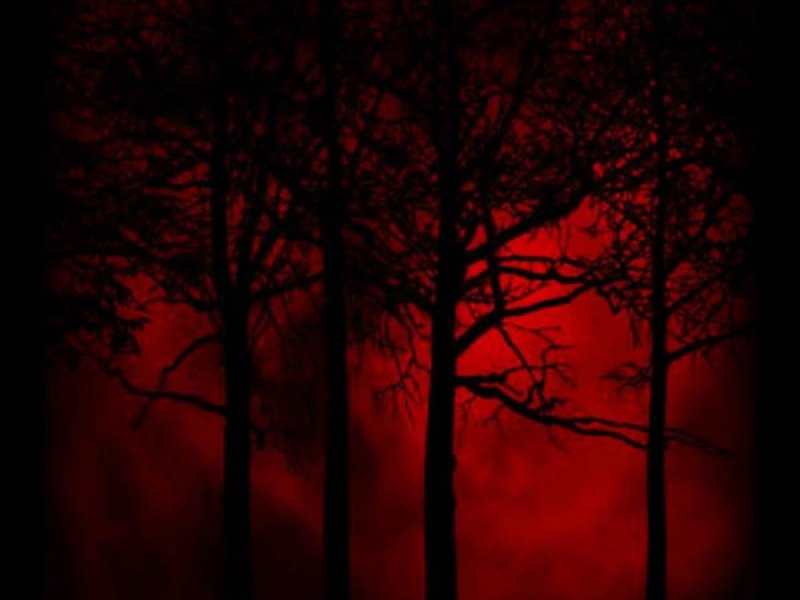 Was It Ever Real.. (Single)