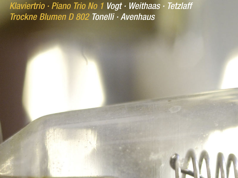 Schubert: Piano Trio No. 1 in B-Flat Major, D. 898; Introduction and Variations, D. 802 (Live)