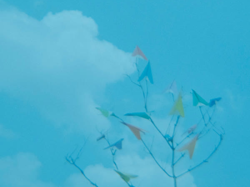 Kaze Ni Todoke (Single)