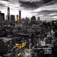 Desperados Pt. 2 (Tricky Megz Remix) (Single)