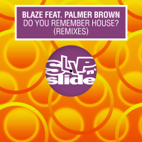 Do You Remember House? (Remixes) (Single)