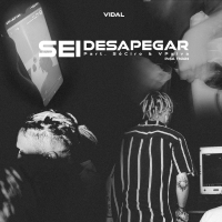 Sei Desapegar (Single)