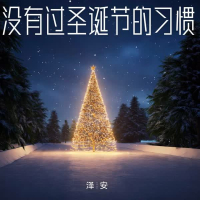 没有过圣诞节的习惯 (Single)