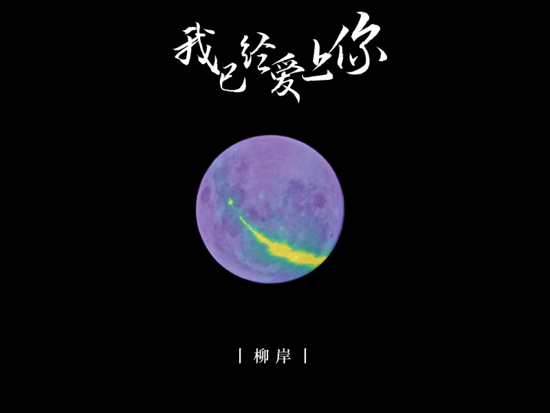 我已经爱上你 (Single)