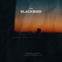 BLACKBIRD (Single)