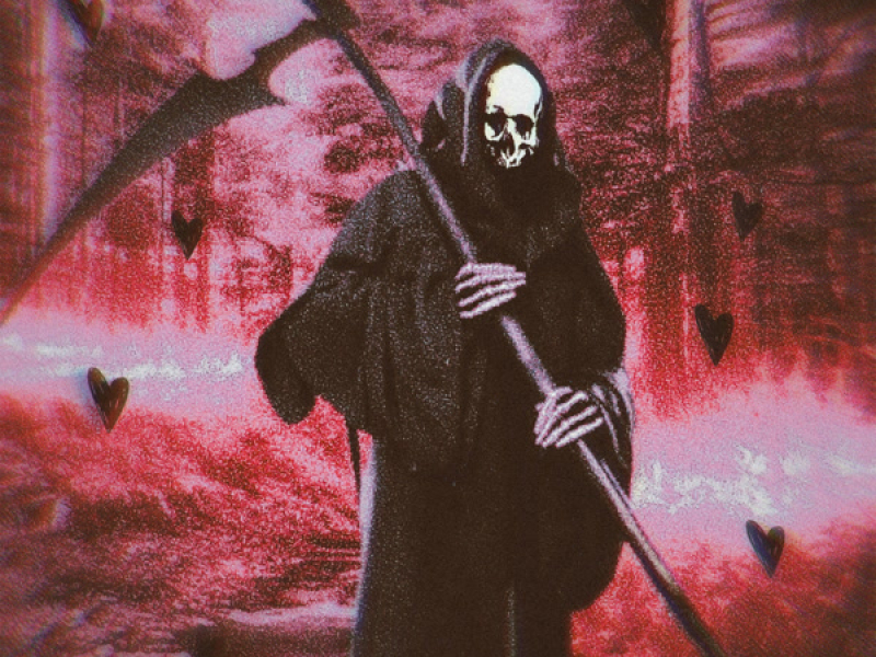 Soll nicht sein (Single)