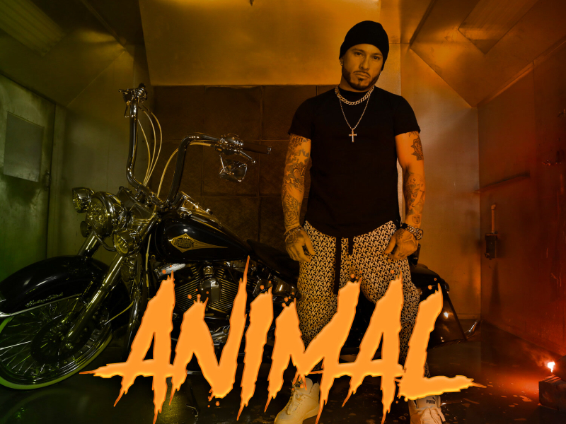 Animal (Single)