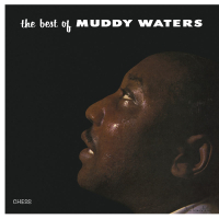 The Best Of Muddy Waters