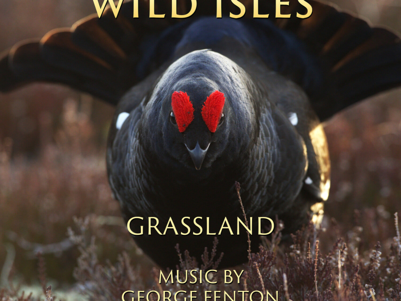 Wild Isles: Grassland (Music from the Original TV Series)