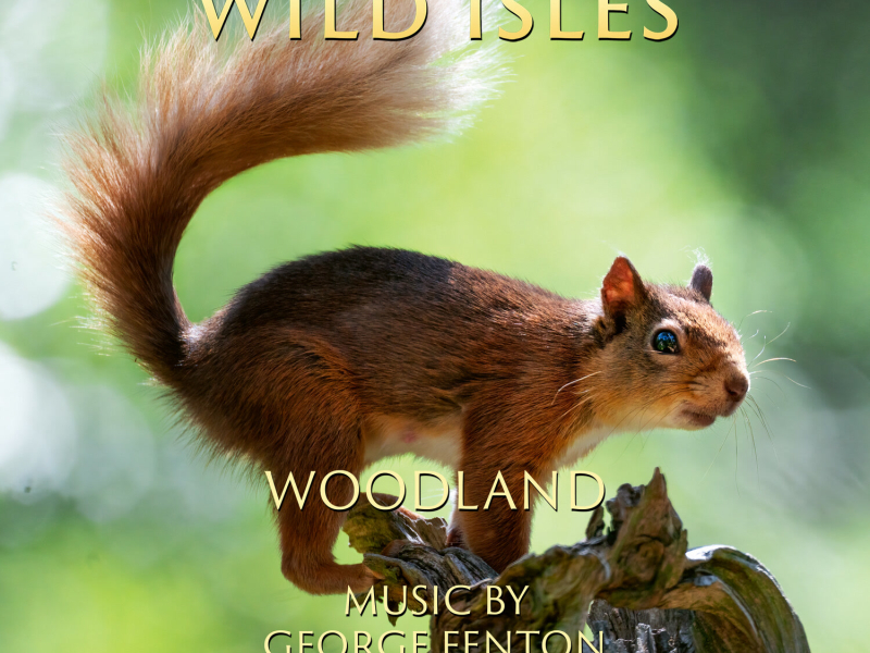 Wild Isles: Woodland (Music from the Original TV Series)
