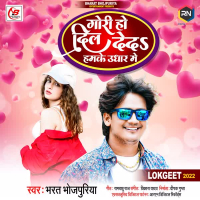 Gori Ho DIl Deda Hamke Udhar Me (Single)