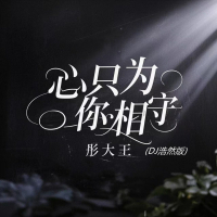 心只为你相守 (Dj浩然版) (Single)