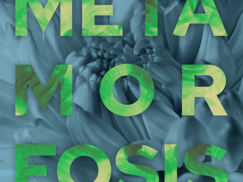 Metamorfosis (Single)