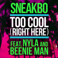 Too Cool (Right Here) (Single)