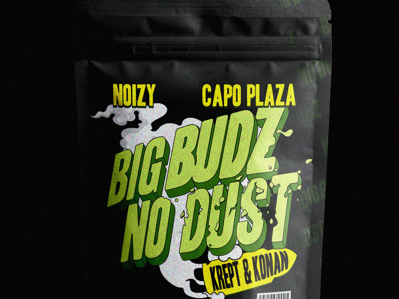 Big Budz No Dust (Single)