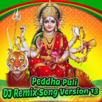 Peddha Puli (DJ Remix Song Version 13) (Single)