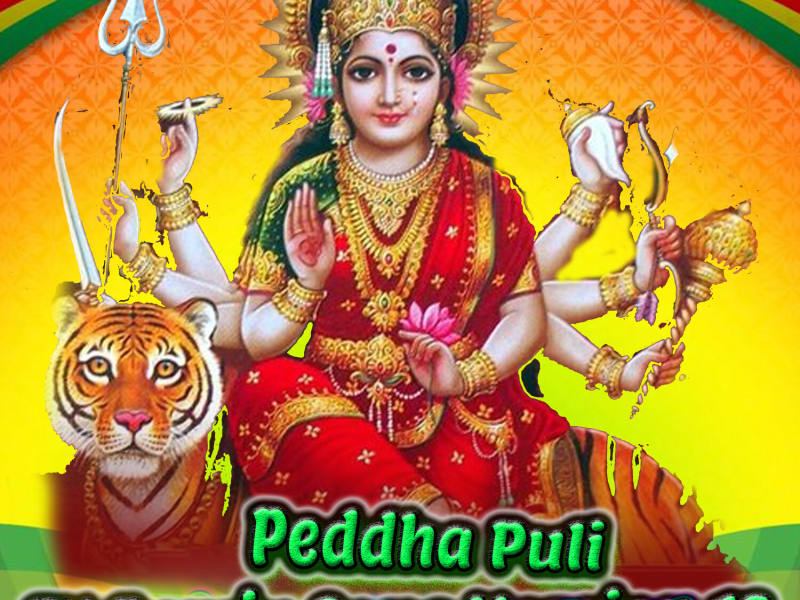 Peddha Puli (DJ Remix Song Version 13) (Single)