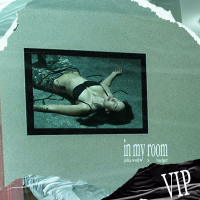 In My Room VIP (Single)
