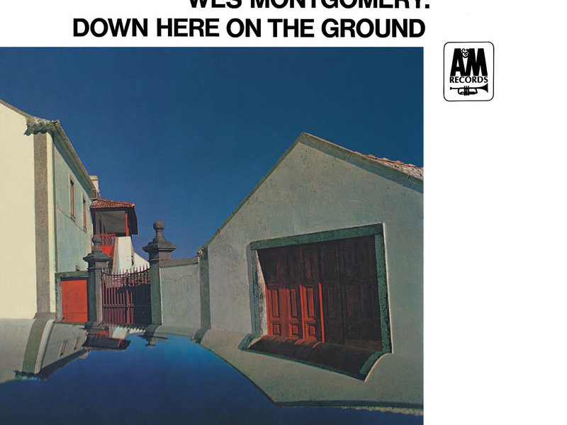 Down Here On The Ground