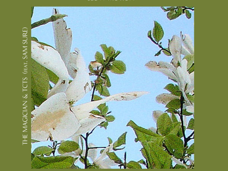 Slow Motion (Boston Bun & Punctual Remixes)