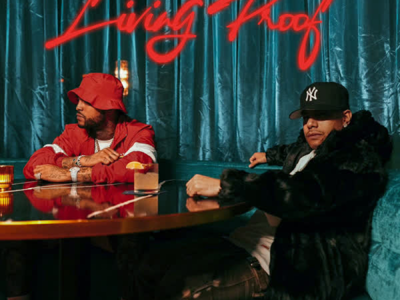 Lift Em Up (feat. Swizz Beatz & Benny The Butcher) (Single)