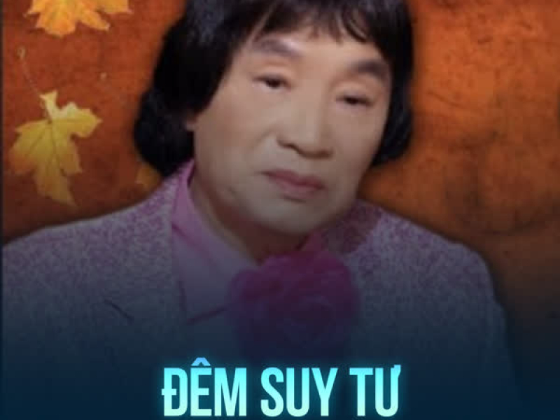 Đêm Suy Tư (Single)